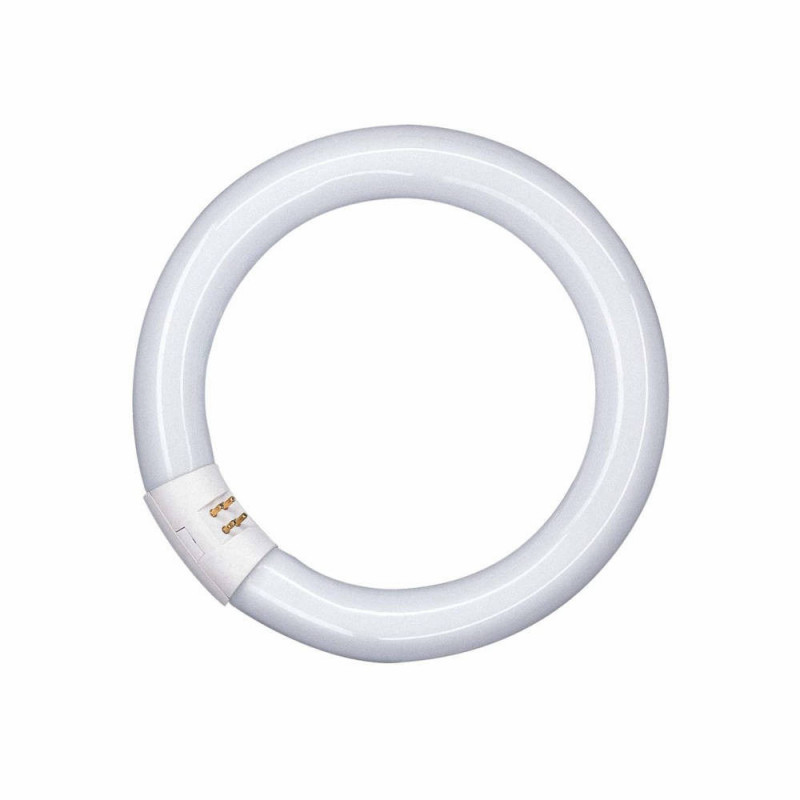Tube Circline 22 Watts, lampe loupe Ronde RLL122TM Waldmann