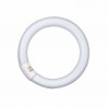 Tube Circline 22 Watts, lampe loupe Ronde RLL122TM Waldmann